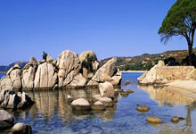 香港六合彩网站是否合法可靠？